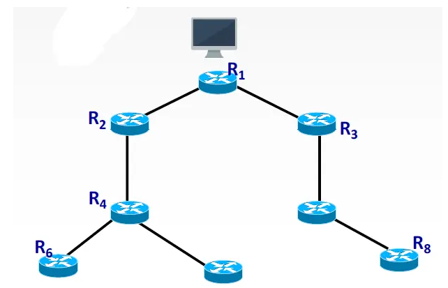 image-20240611213628832