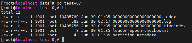 image-20240630152911234