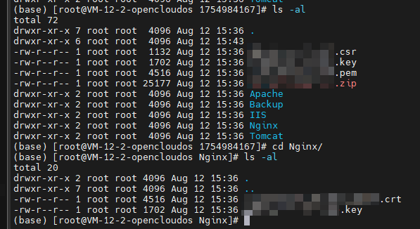 image-20250812163956200